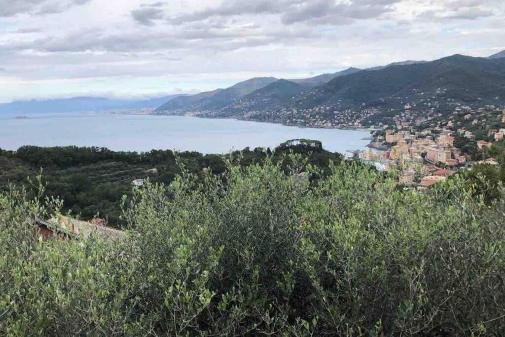 Acqua Marina Camogli Exterior foto